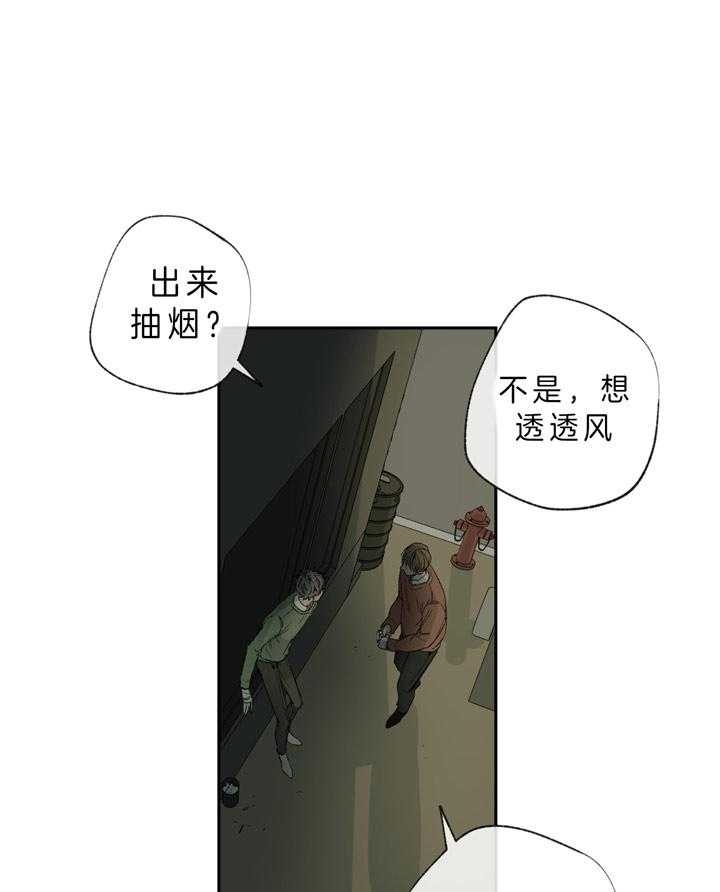 39.jpg