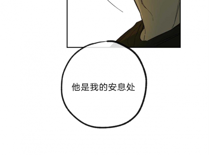 48.jpg