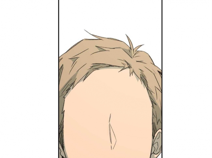 54.jpg