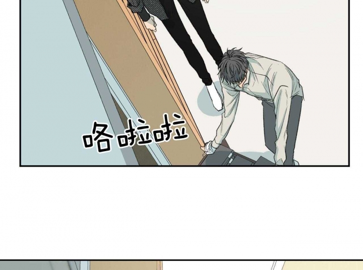 48.jpg