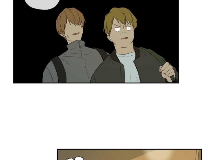 53.jpg