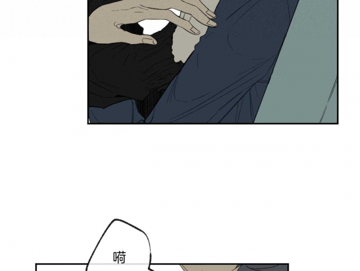 25.jpg