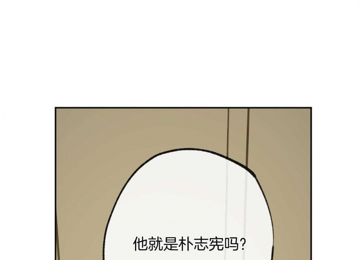 53.jpg