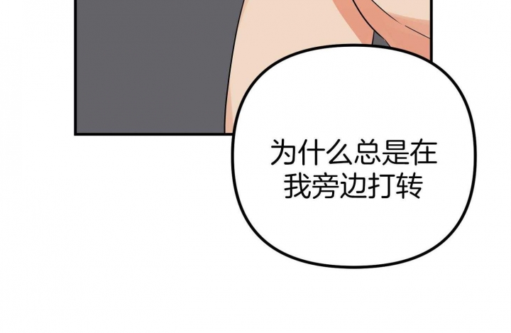 72.jpg