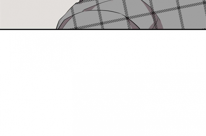 81.jpg