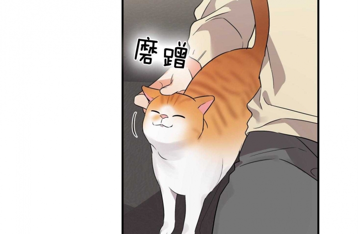 58.jpg