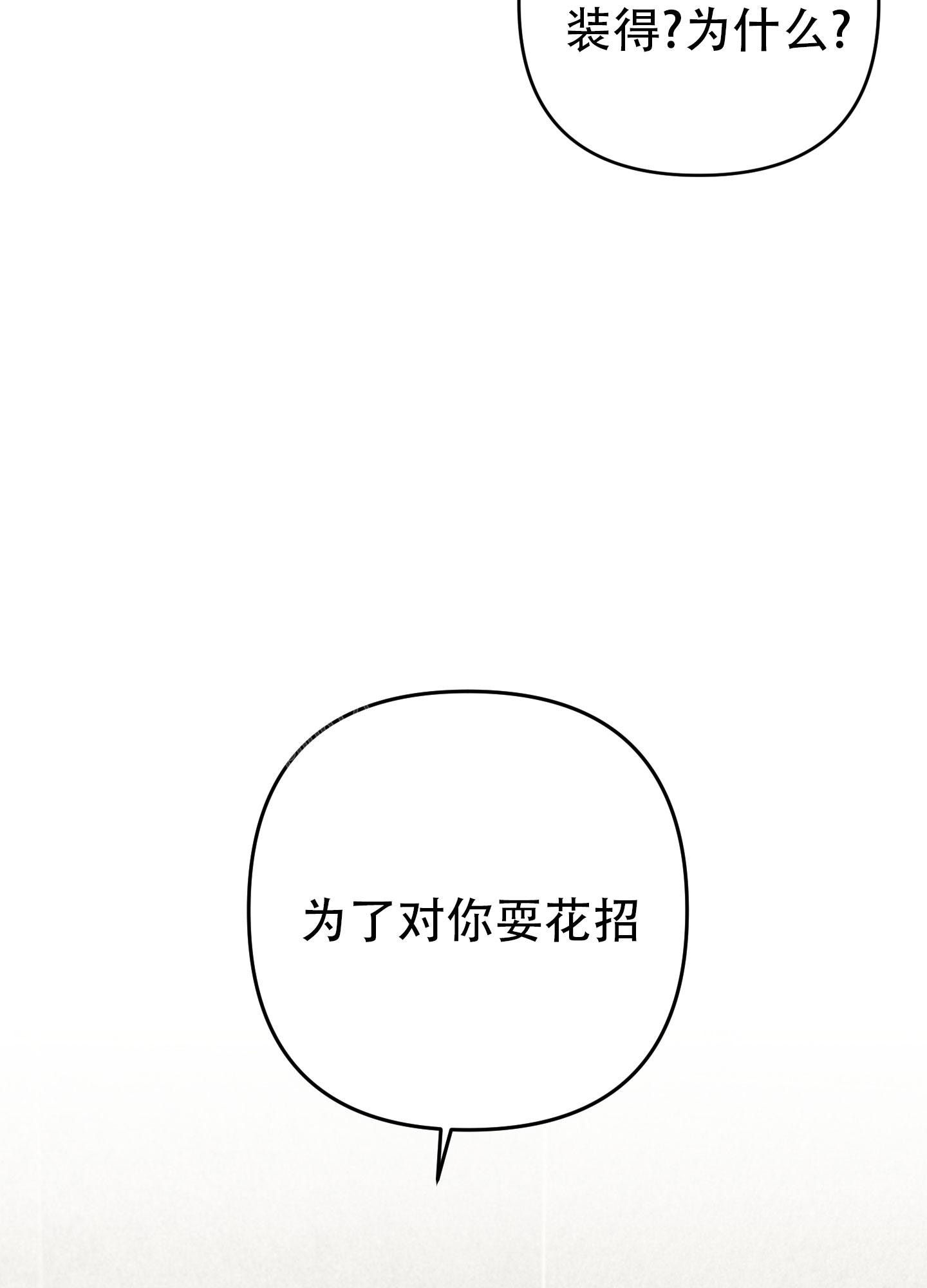 95.jpg