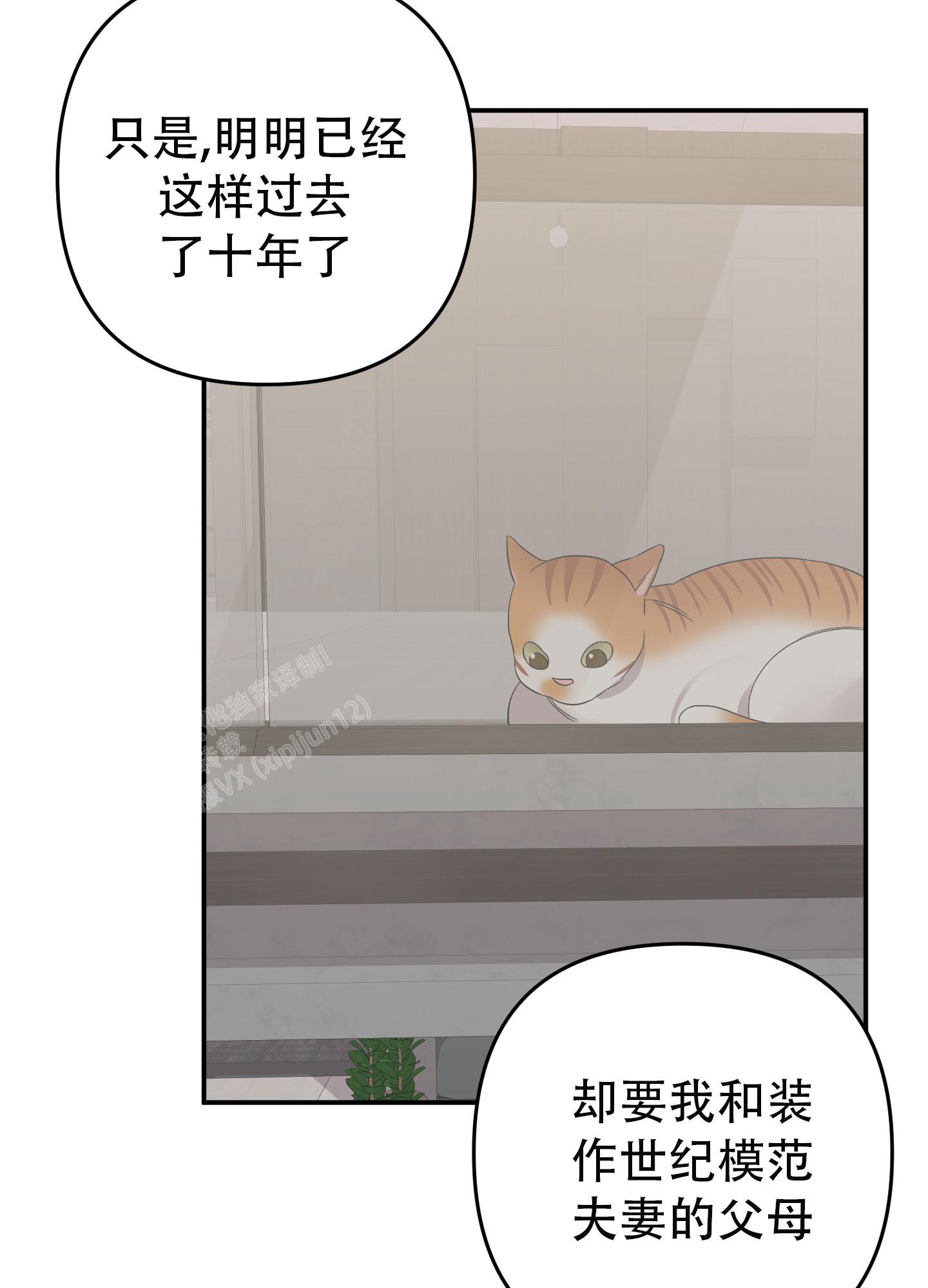 78.jpg