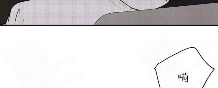 49.jpg