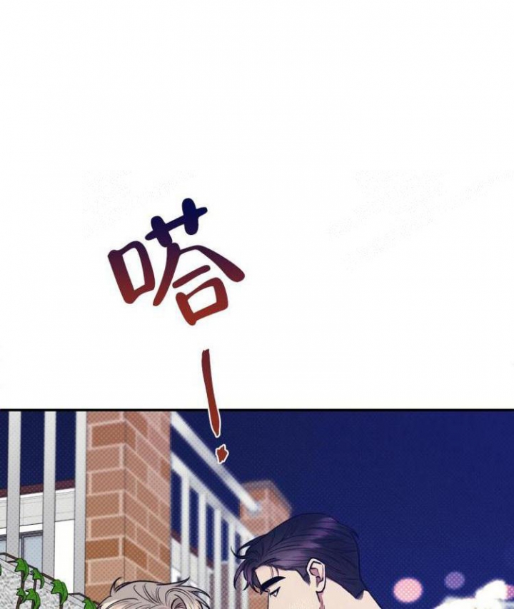 37.jpg