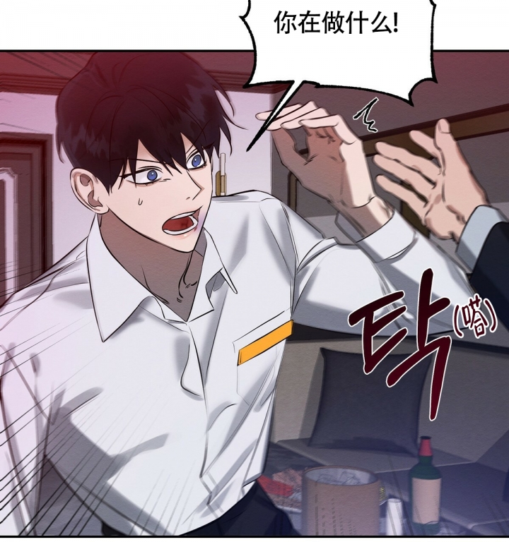 47.jpg