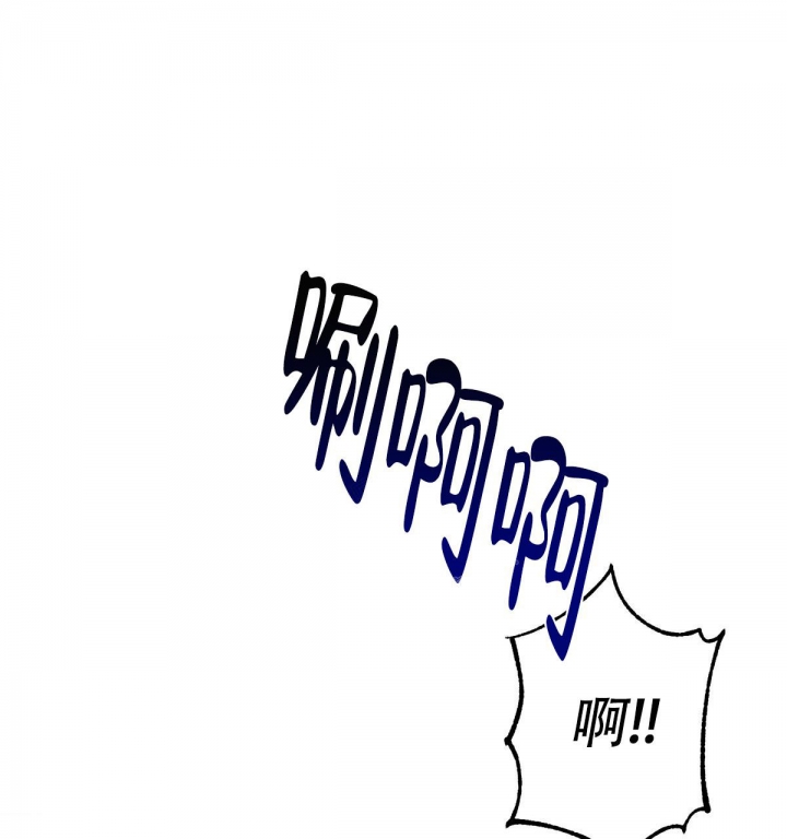 73.jpg