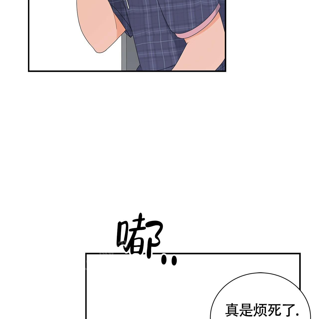 40.jpg