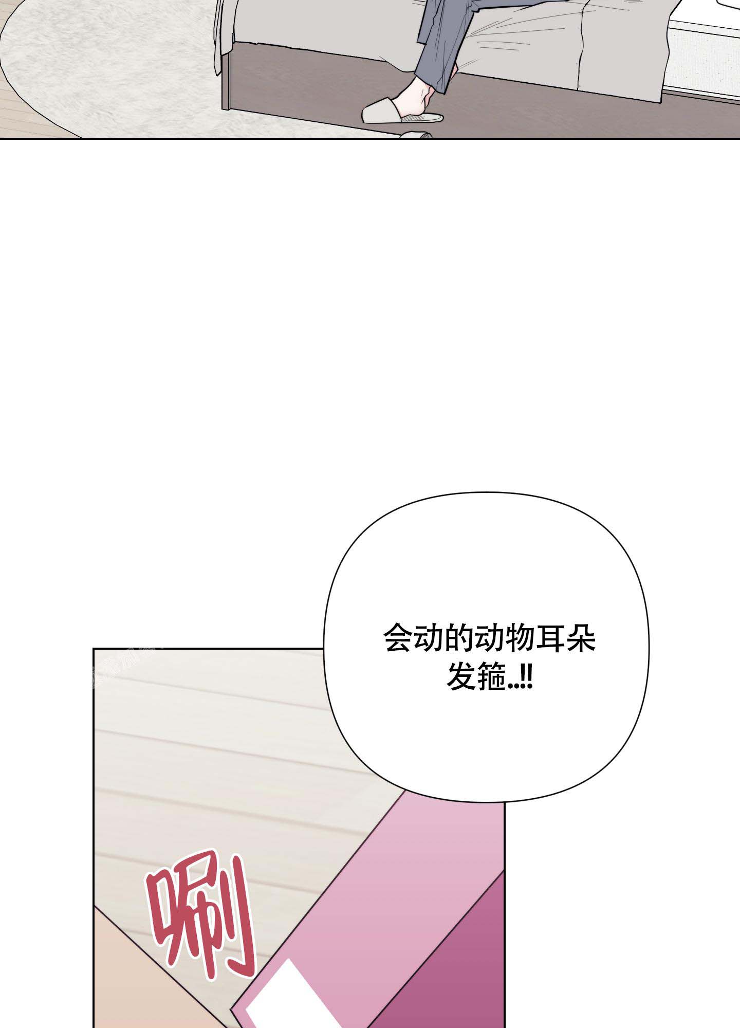 24.jpg