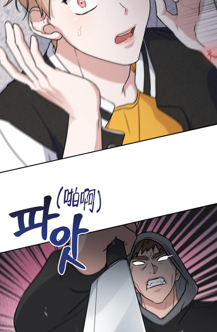 23.jpg