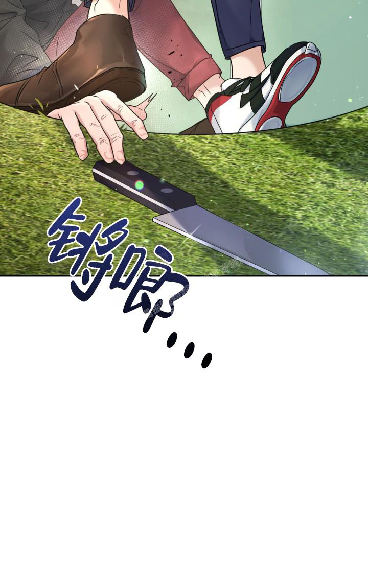 33.jpg