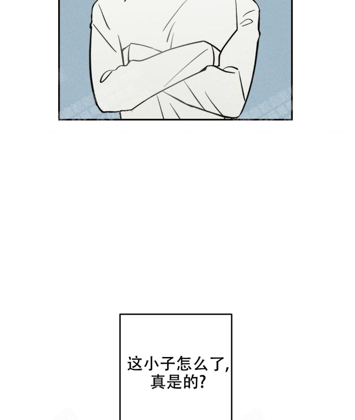 28.jpg