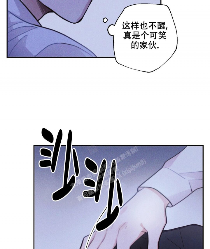 47.jpg