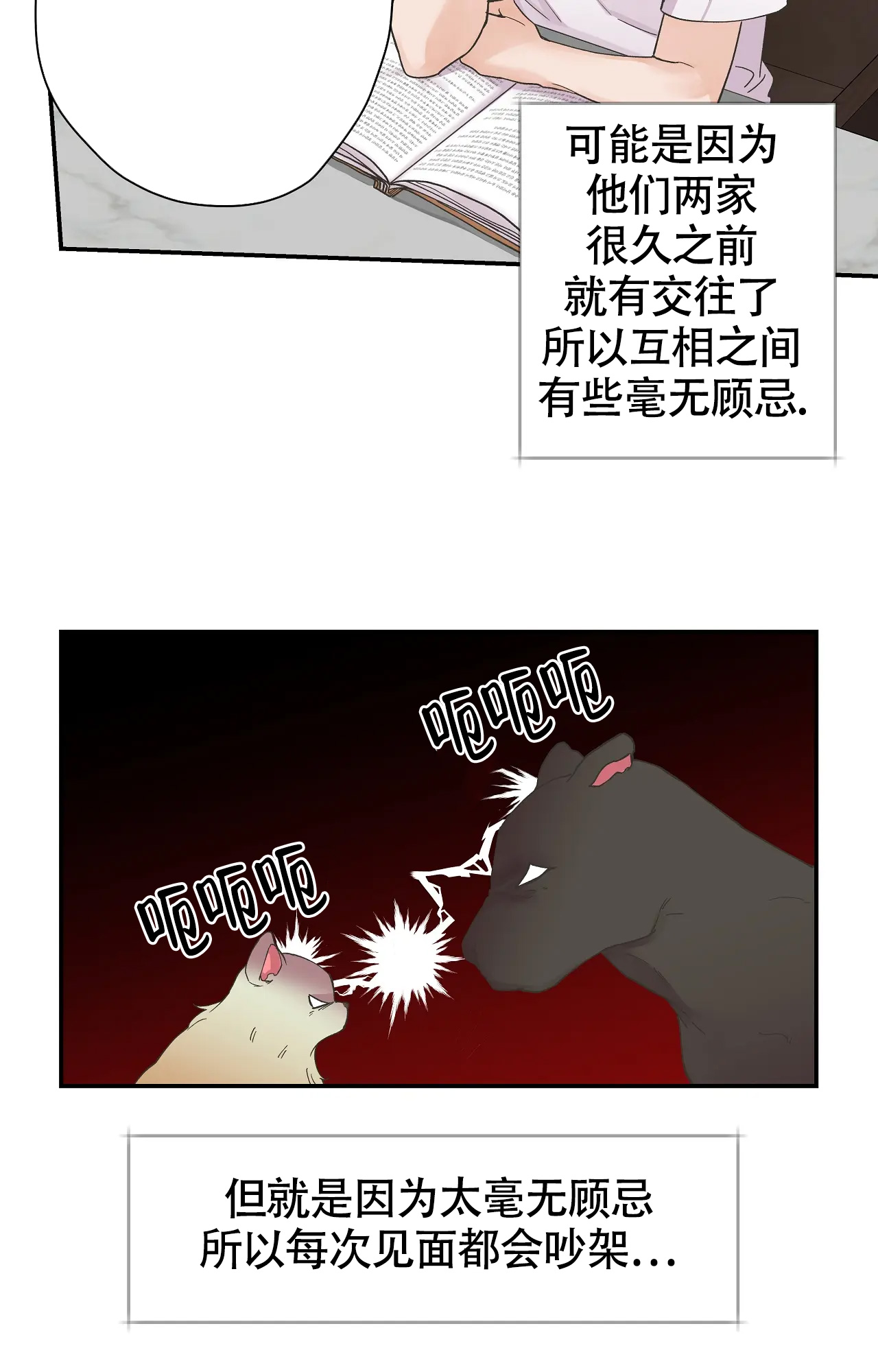 15.jpg