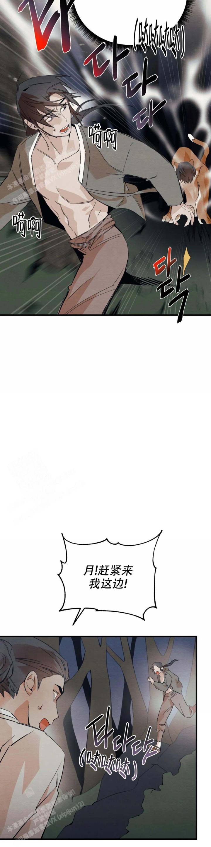 13.jpg
