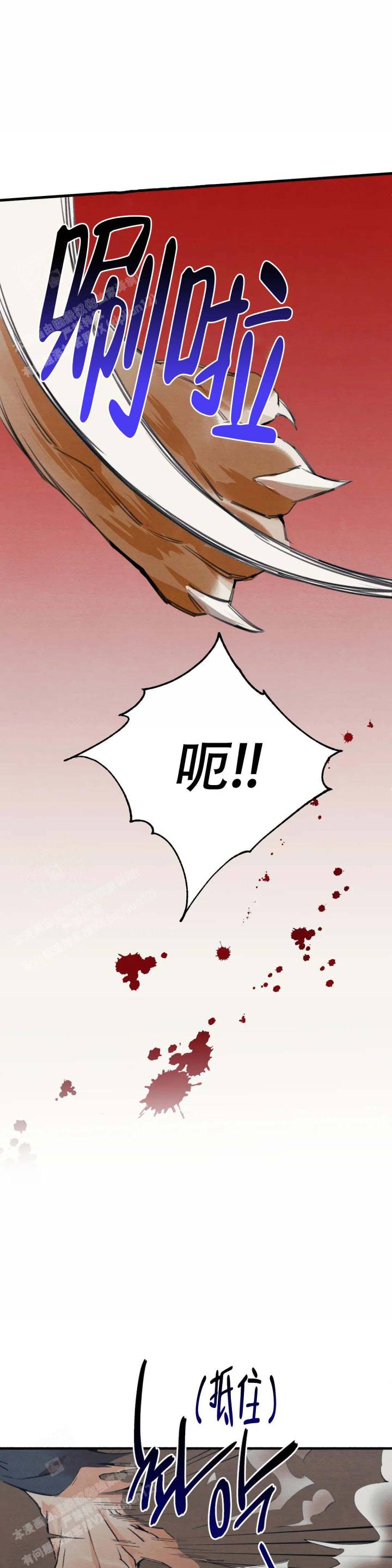19.jpg