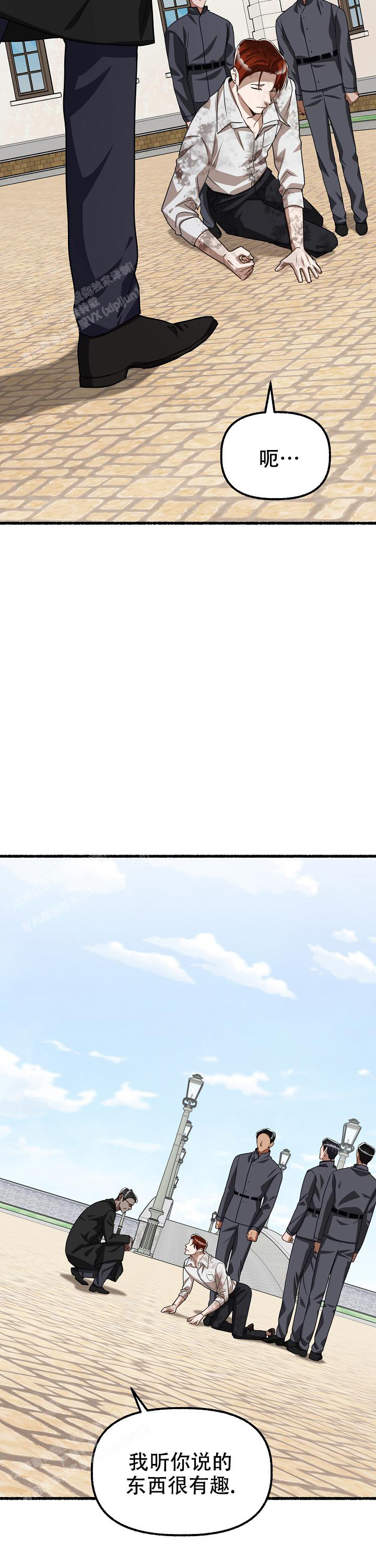 11.jpg