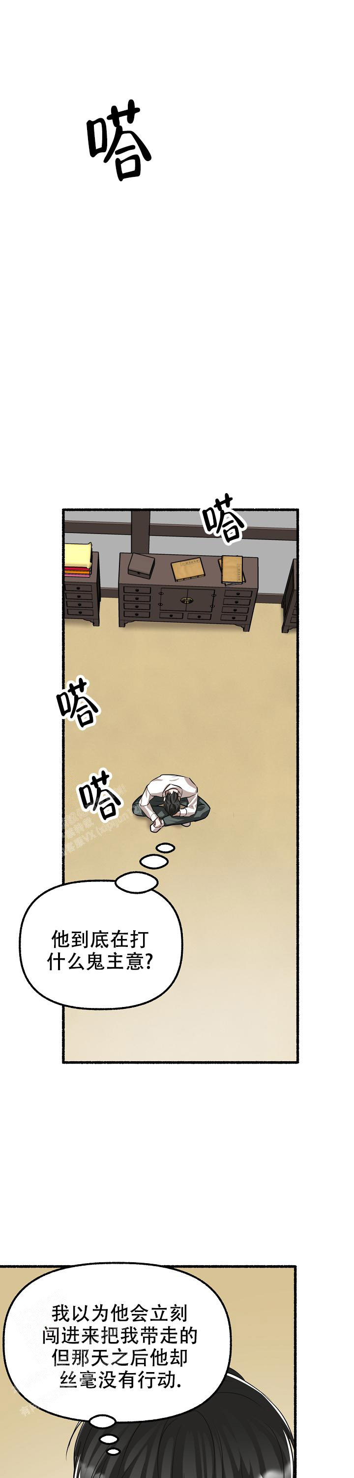 11.jpg