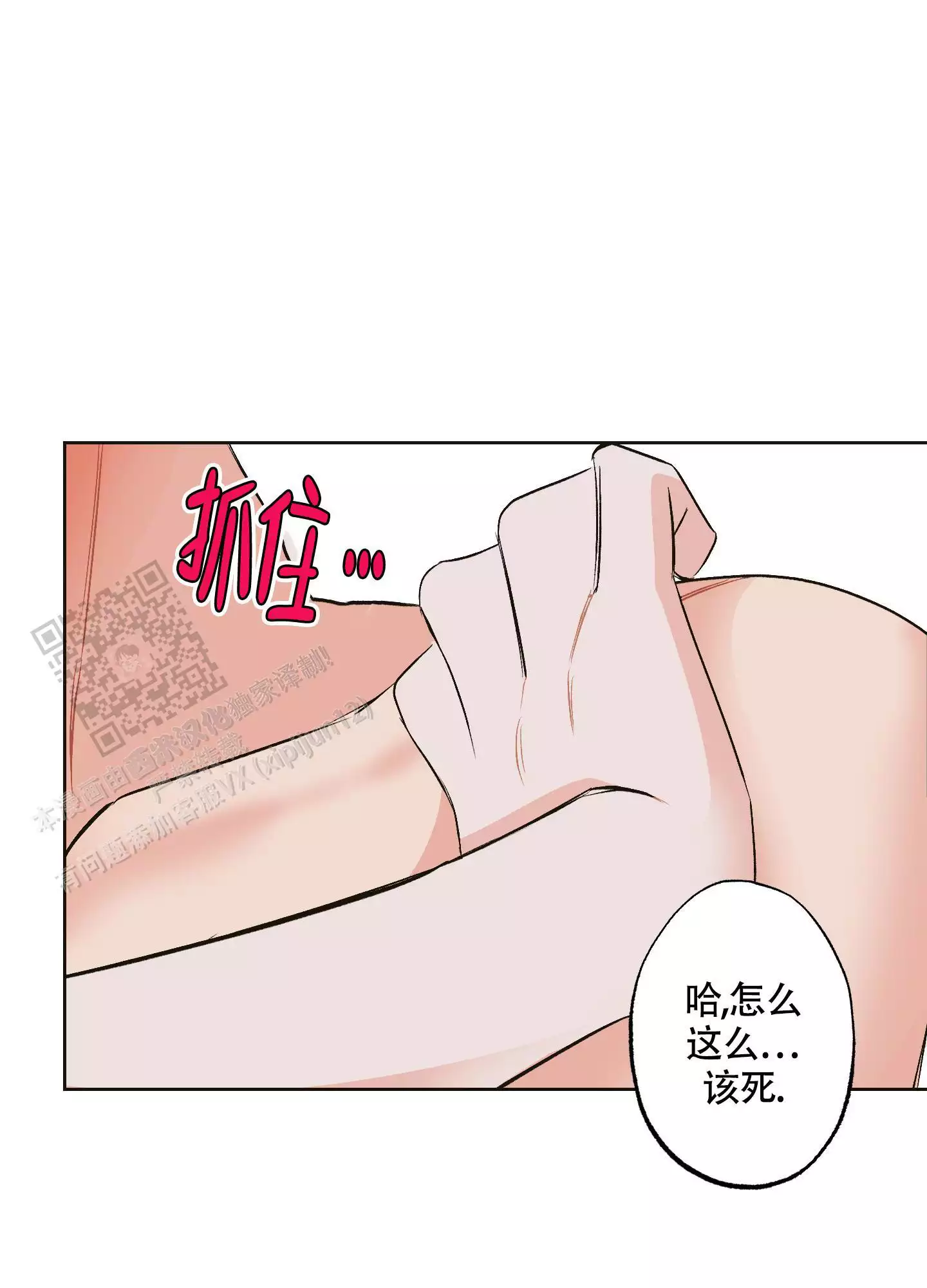 26.jpg