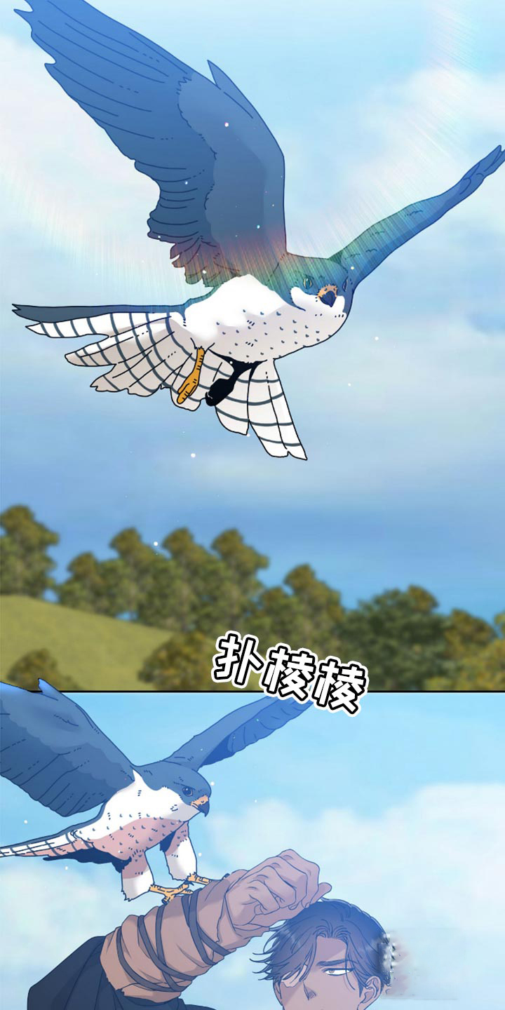 15.jpg