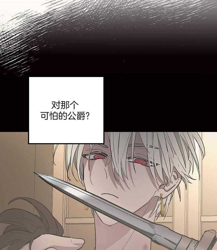 27.jpg