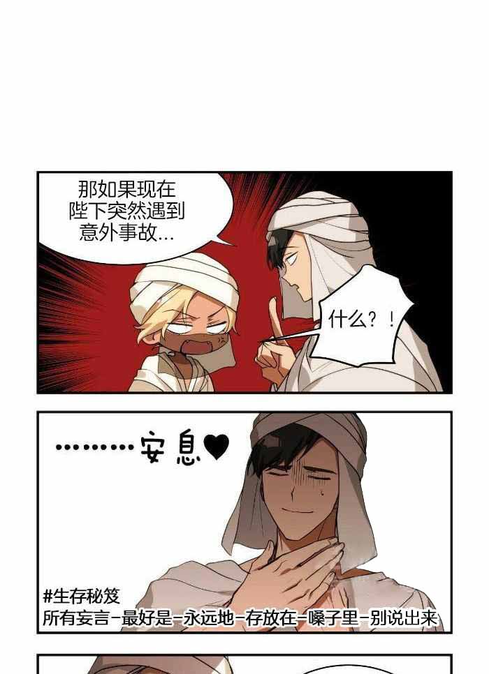11.jpg