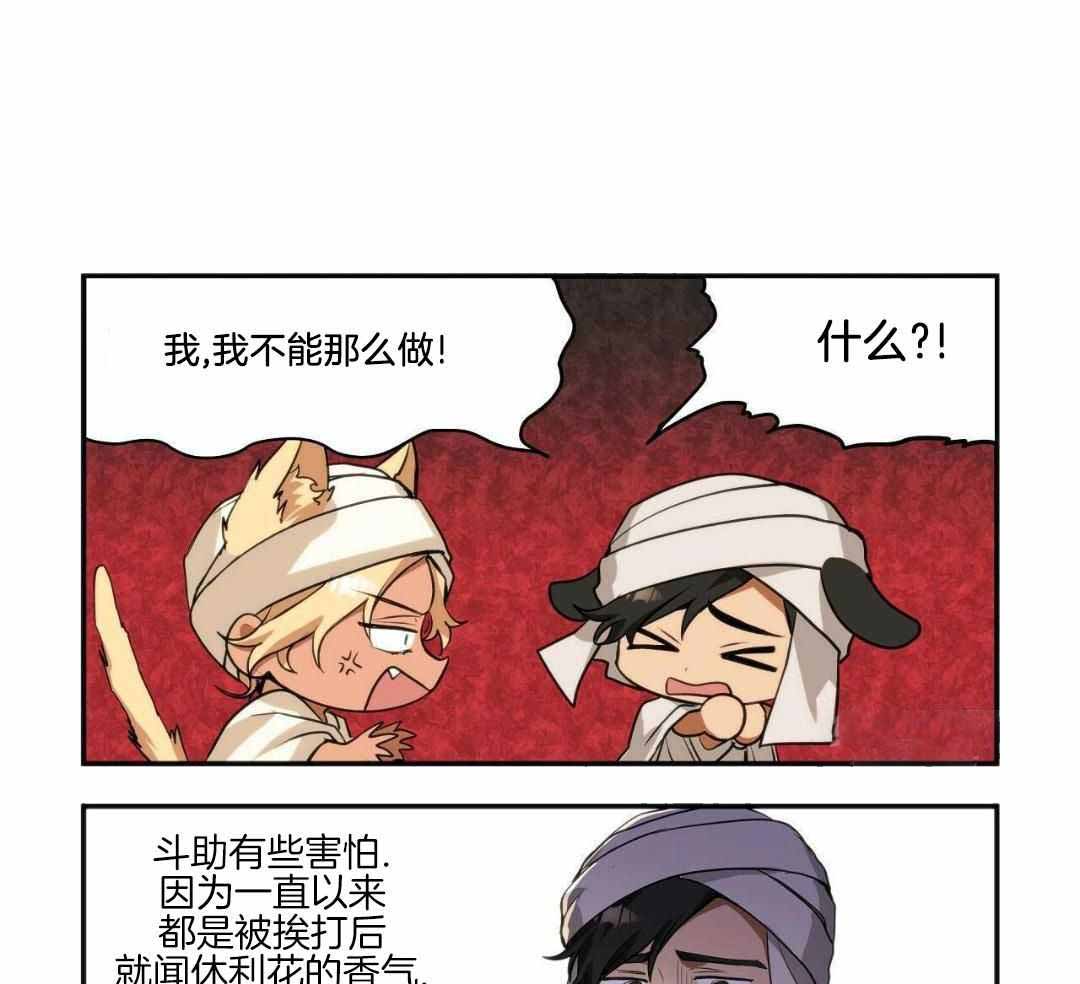 12.jpg