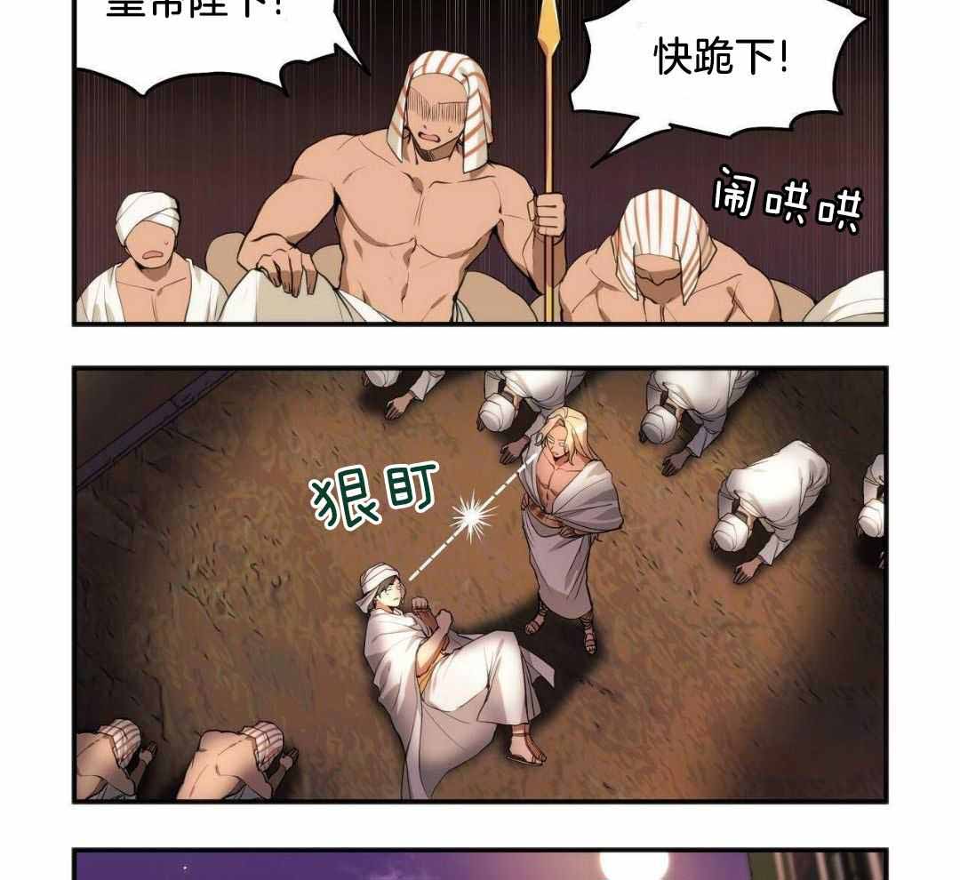 13.jpg
