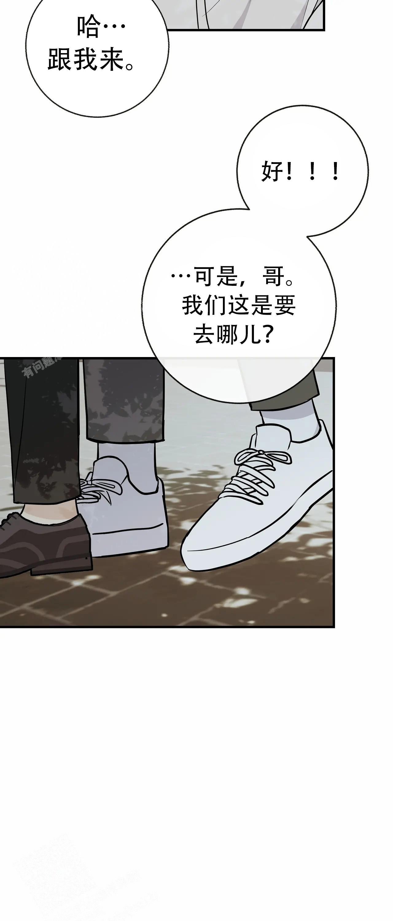 31.jpg