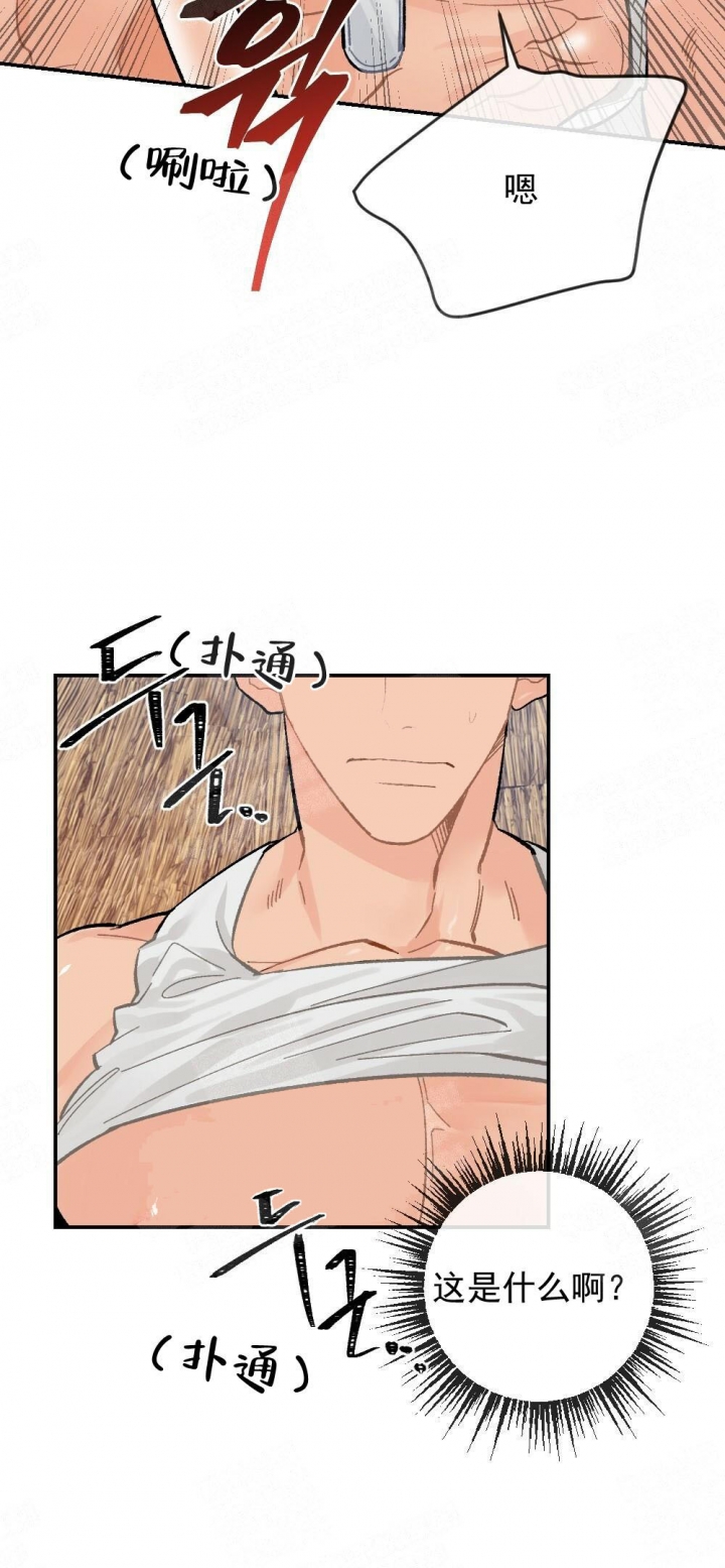 16.jpg
