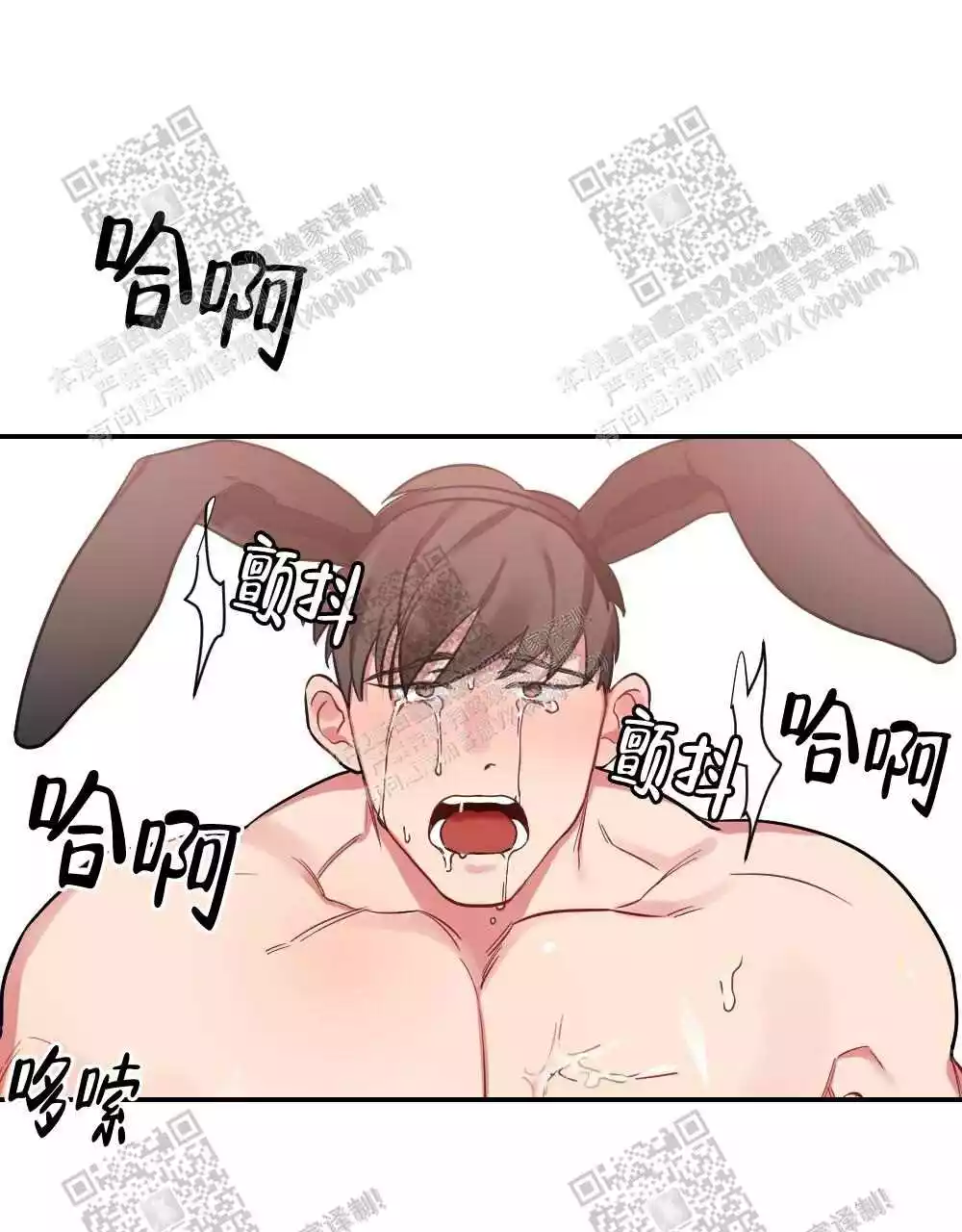 20.jpg