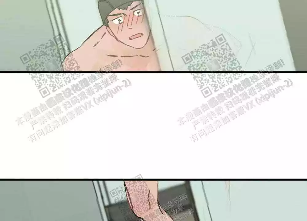 51.jpg