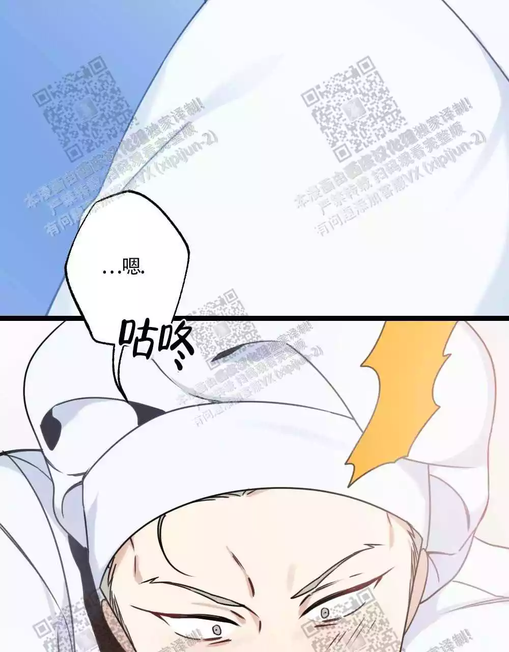40.jpg