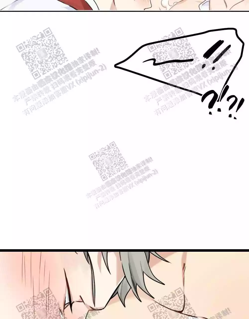 41.jpg