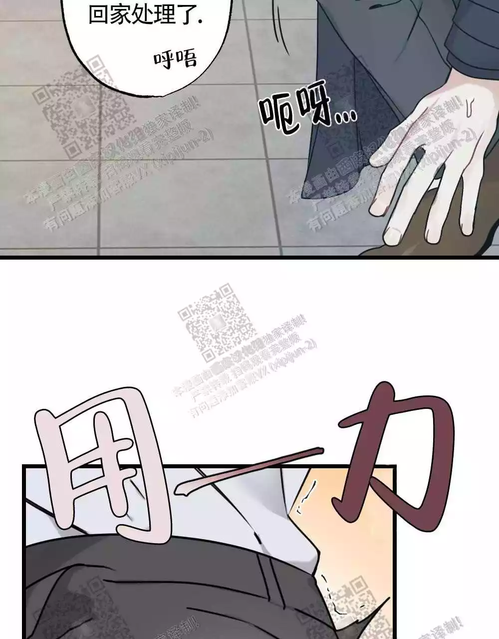25.jpg