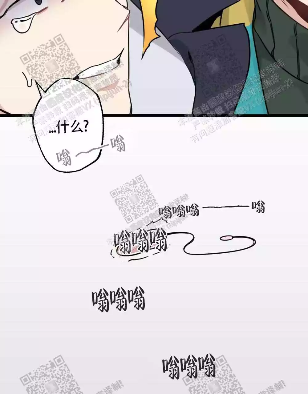 47.jpg