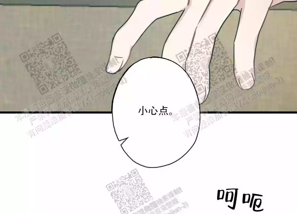 11.jpg