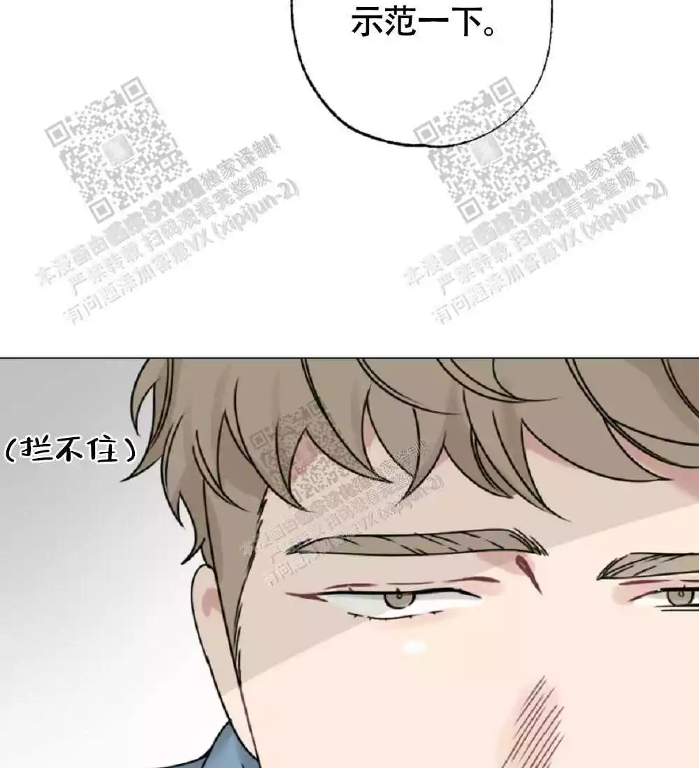 46.jpg