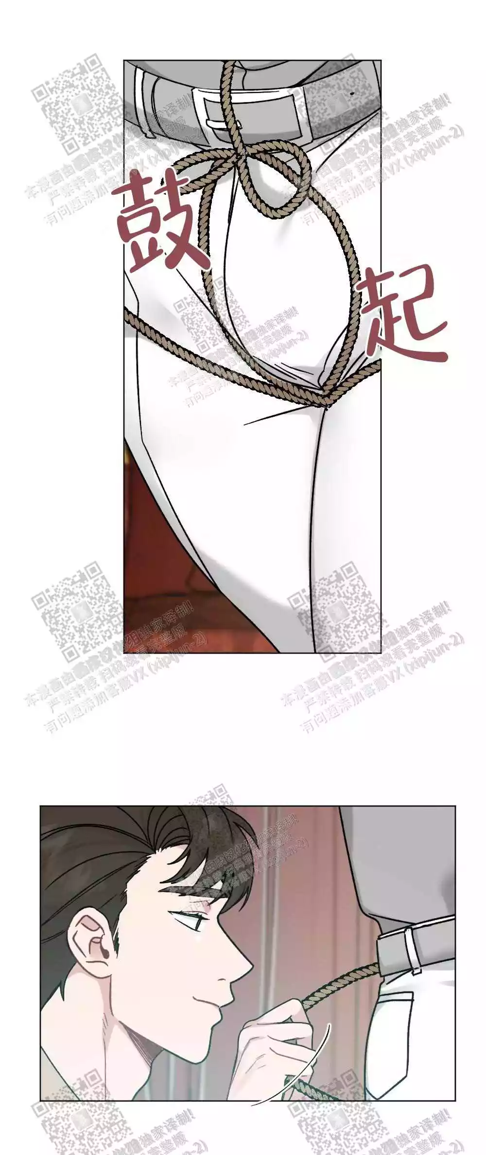 18.jpg