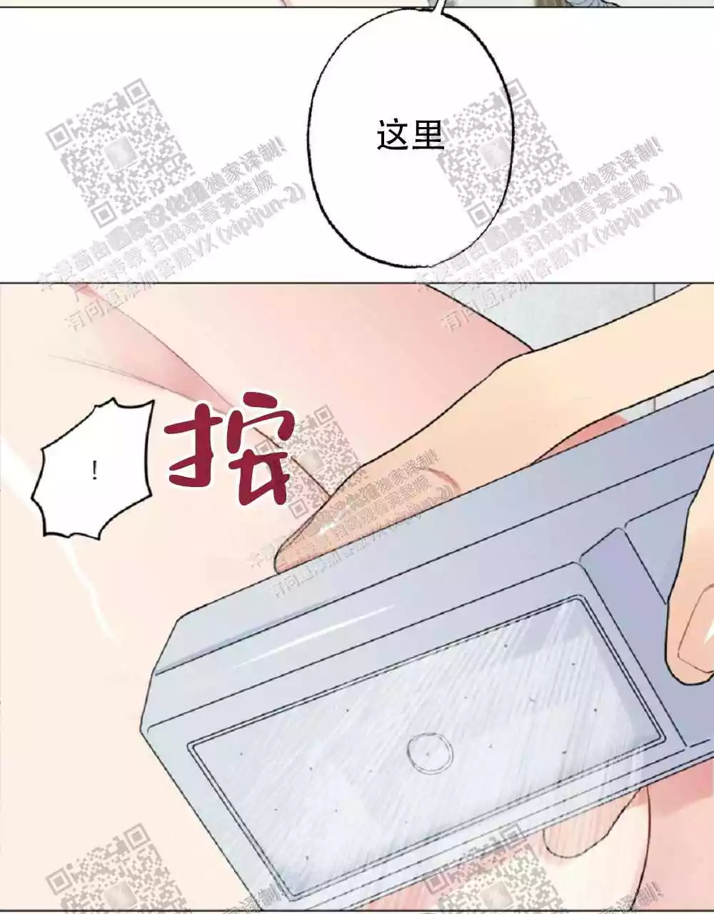 13.jpg