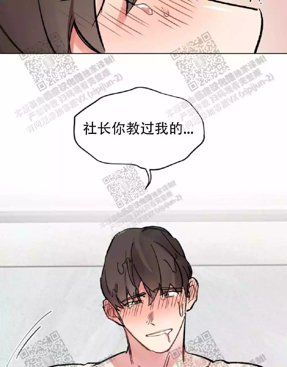48.jpg