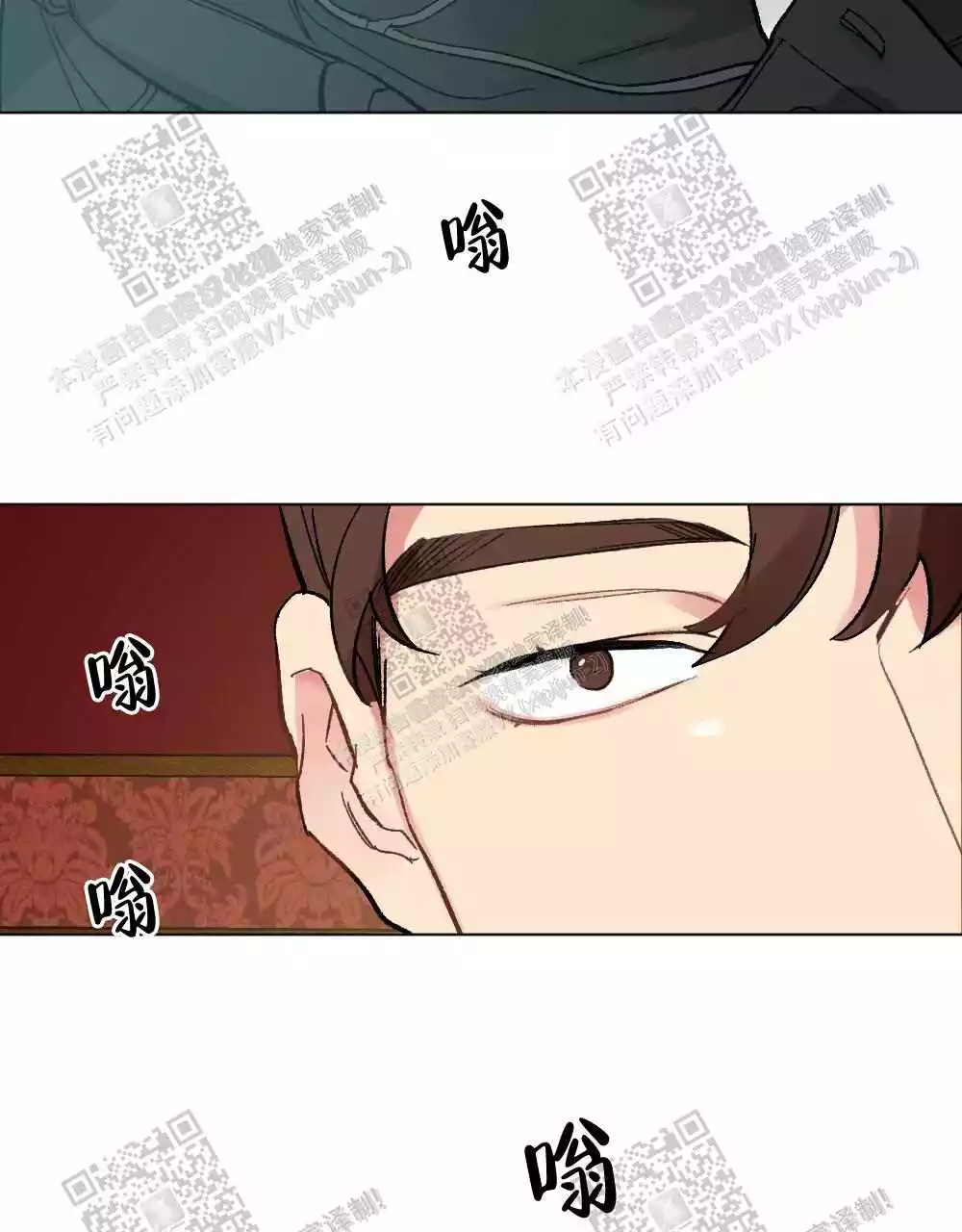 48.jpg