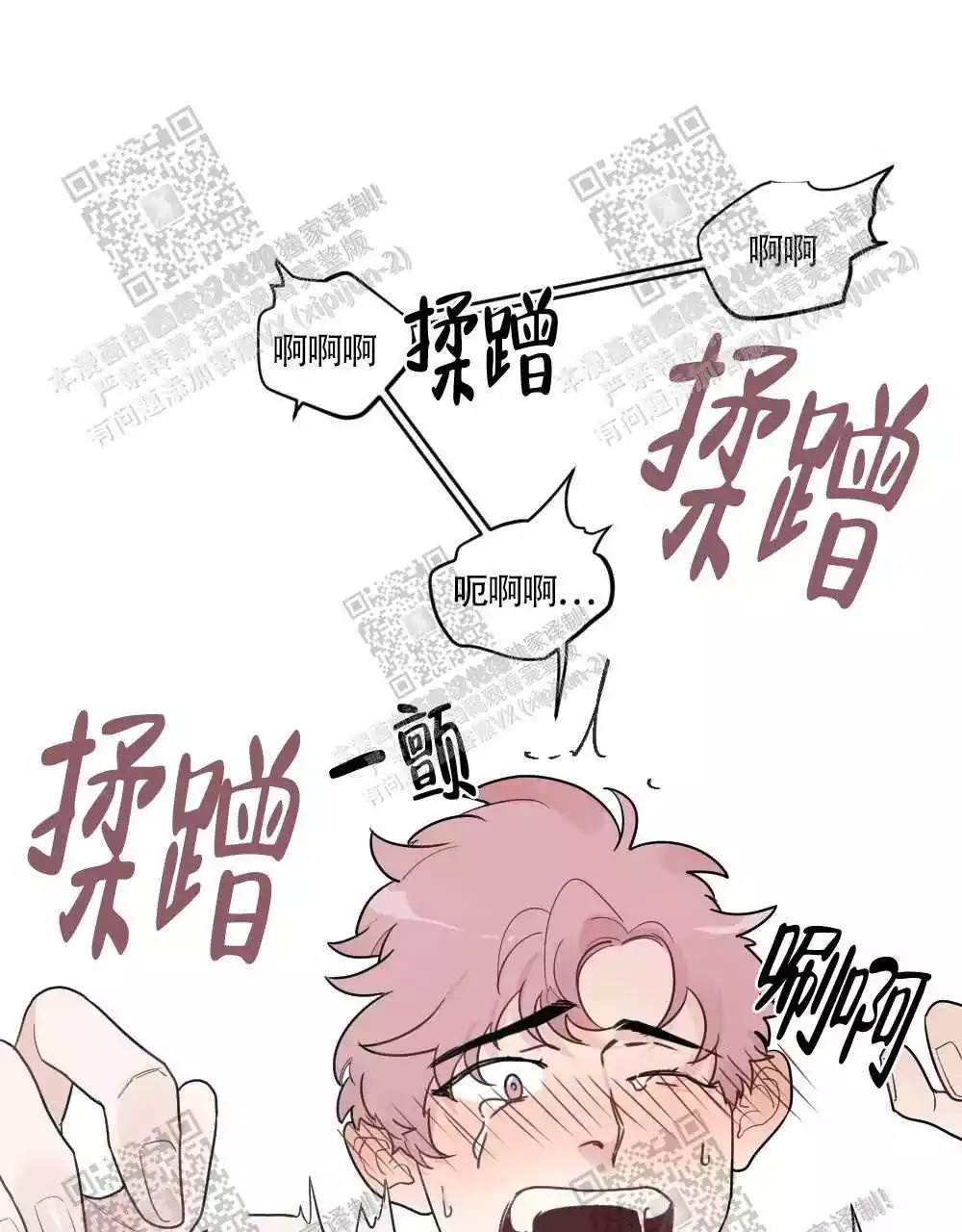 15.jpg