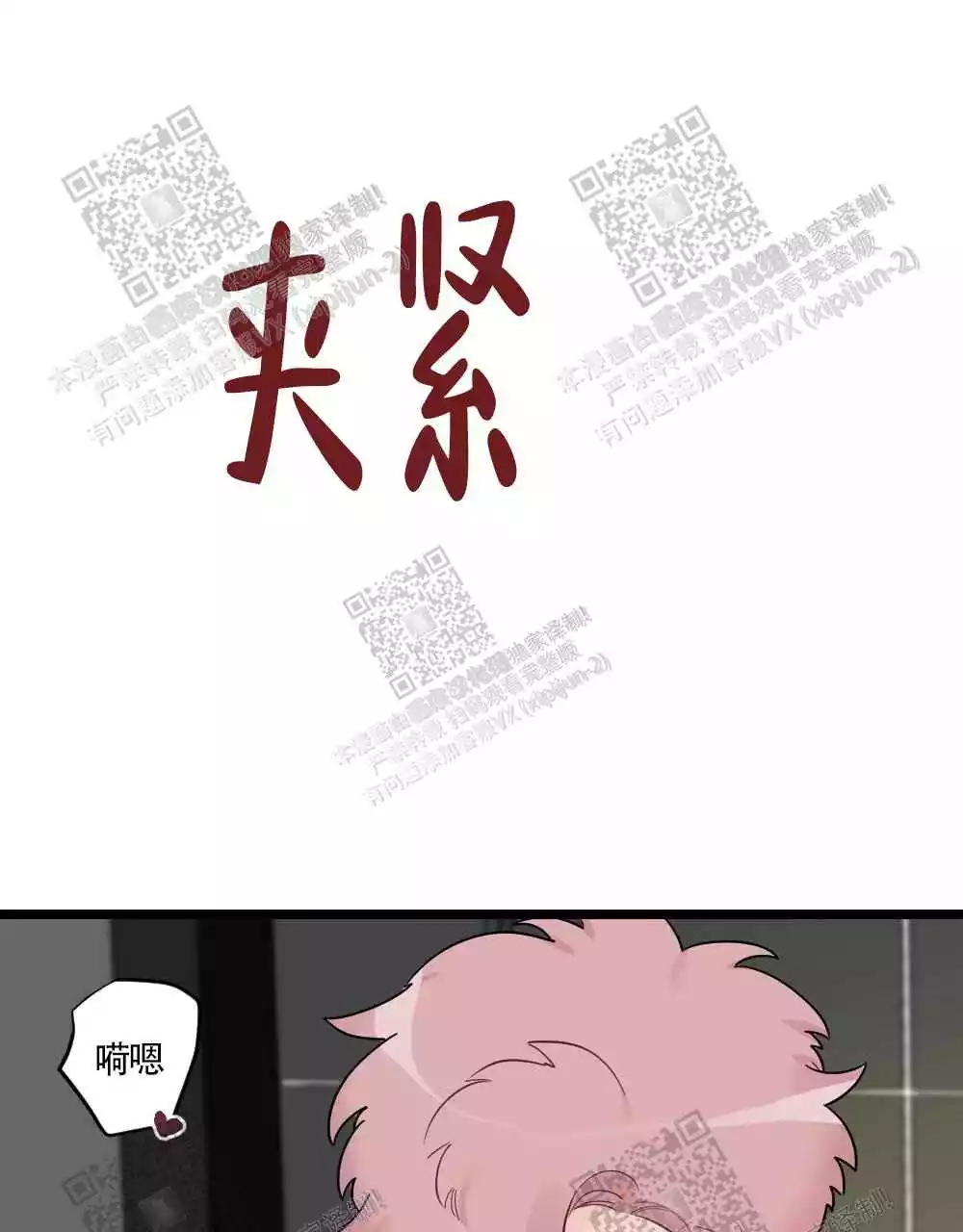 41.jpg