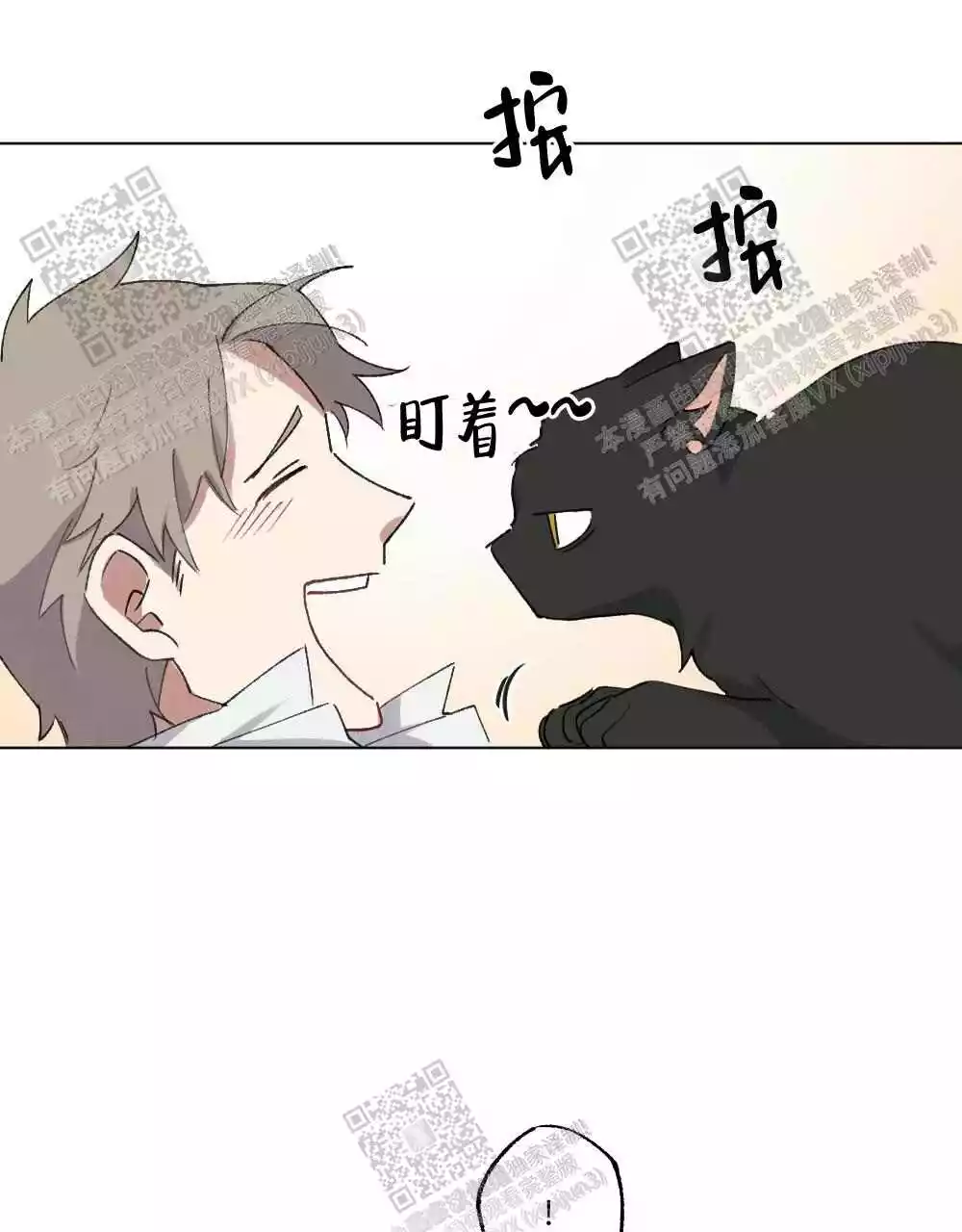 22.jpg